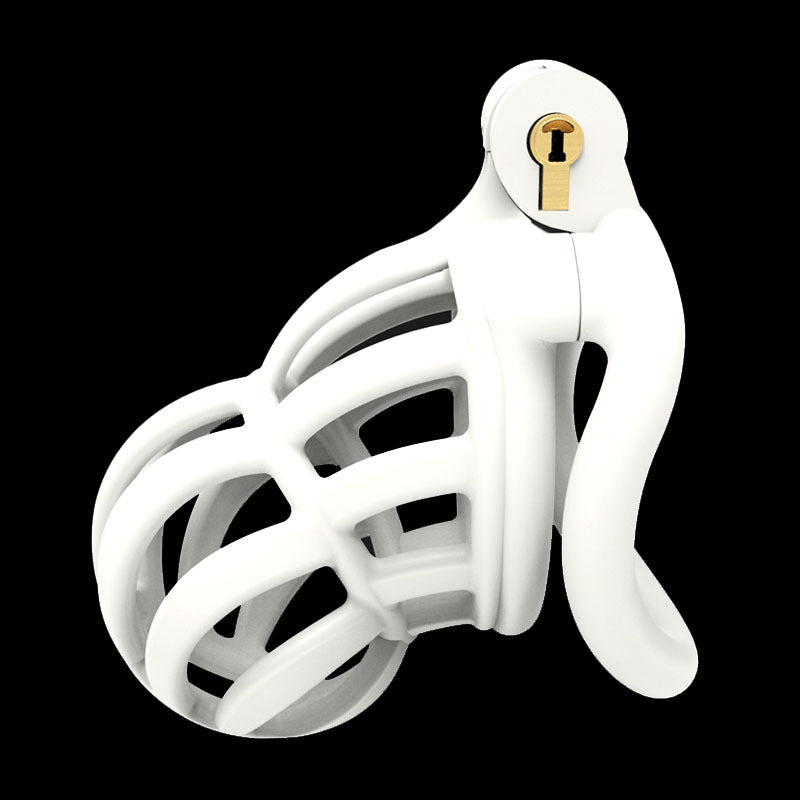 3D Stegosaurus Narrow Face Mamba Chastity Device Kit