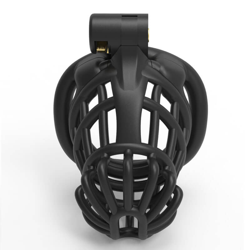 3D Stegosaurus Spine Bone Mamba Chastity Device Kit
