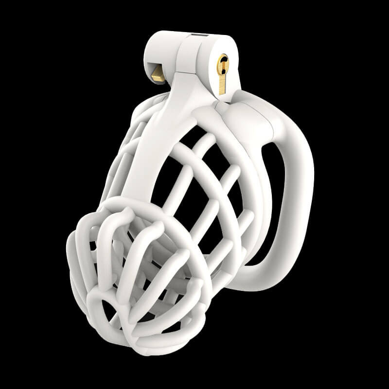 3D Stegosaurus Spine Bone Mamba Chastity Device Kit