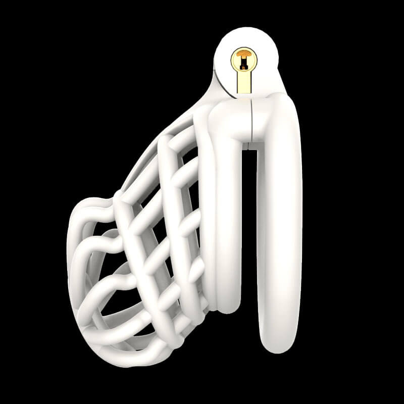 3D Stegosaurus Spine Bone Mamba Chastity Device Kit