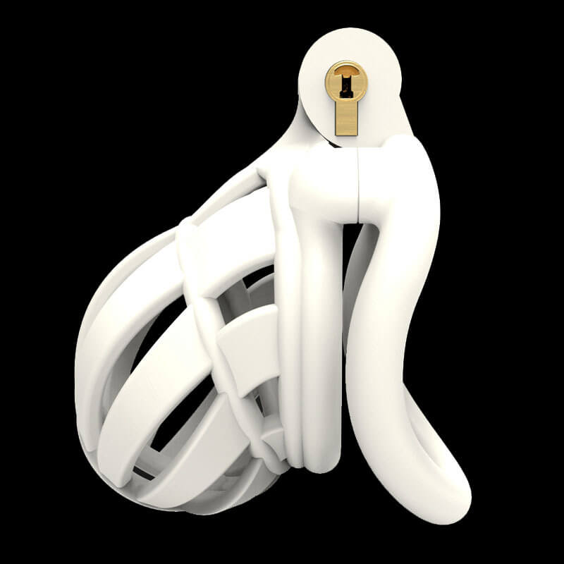 3D Stegosaurus Wide Head Mamba Chastity Device Kit