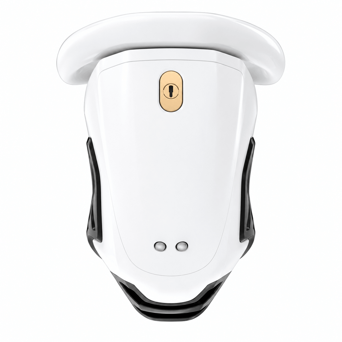 QIUI ThrillCage App-Controlled E-Stim Chastity Cage with Physical Key
